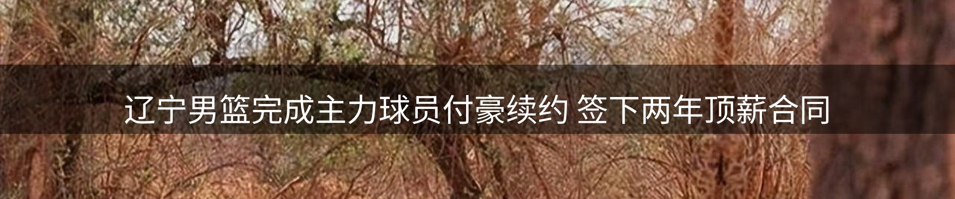 热点播报